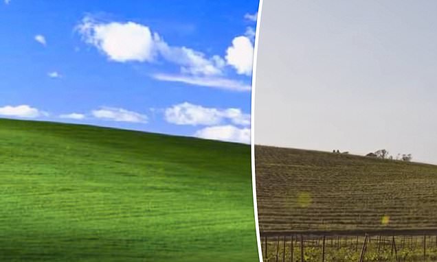 Revealed: The 'world's most viewed' image is a hill outside SF