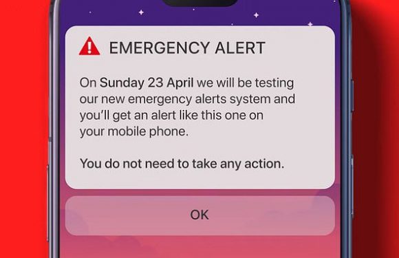 Rishi Sunak pleads with Britons not to turn off emergency phone alerts