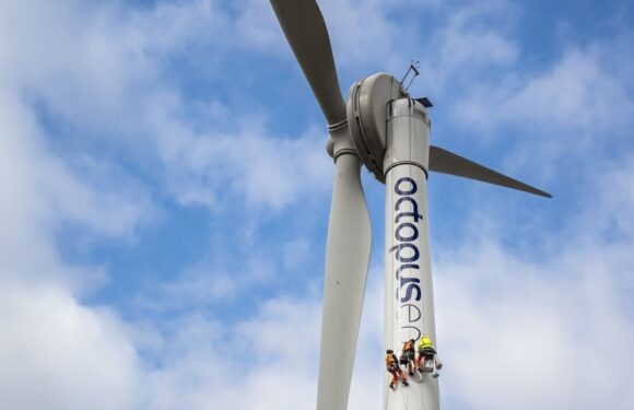 Seven new wind farms set up across Europe in bid to power 250k homes