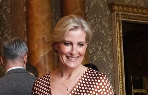 Sophie, Duchess of Edinburgh is glowing in £424 brown polka dot dress