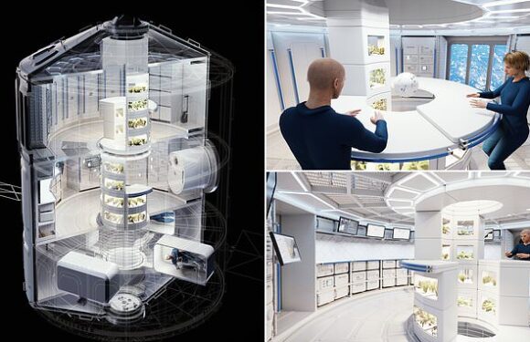 Space station concept with a GREENHOUSE that could launch in 10 years