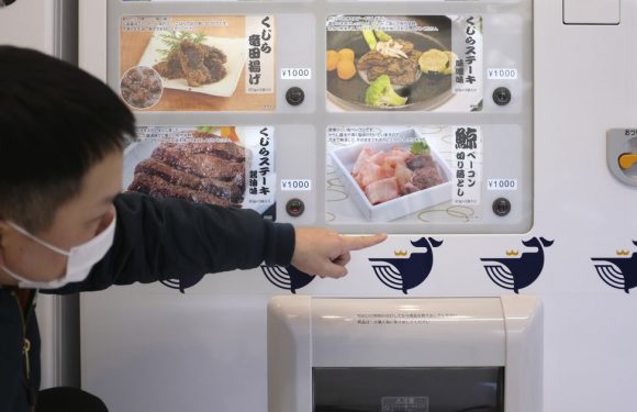 Station vending machine selling bear meat for £13 sparks mad rush for a taste