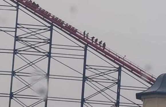 The Big One Blackpool Pleasure Beach: Britain's biggest rollercoaster breaks down with riders stranded near 235ft top | The Sun