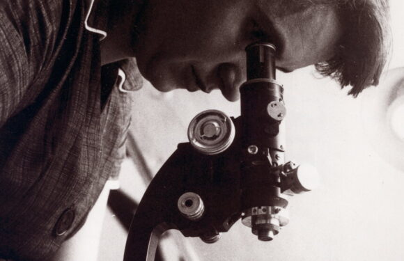 Untangling Rosalind Franklin’s Role in DNA Discovery, 70 Years On