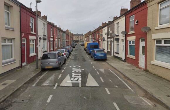 Woman's ‘face and neck’ savaged by two ‘frenzied’ white staffies that ‘turned red with blood’ | The Sun