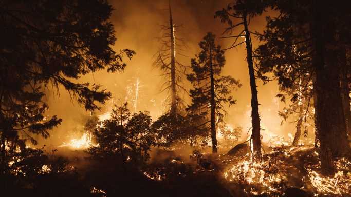 Xprize opens $11-million contest to transform how world fights and detects wildfires