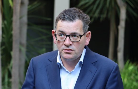 ‘The worst of American politics’: Premier backs drag performers after cafe threats