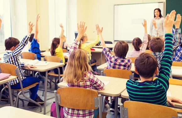 Damning report finds one in 10 schoolchildren 'want to change gender'