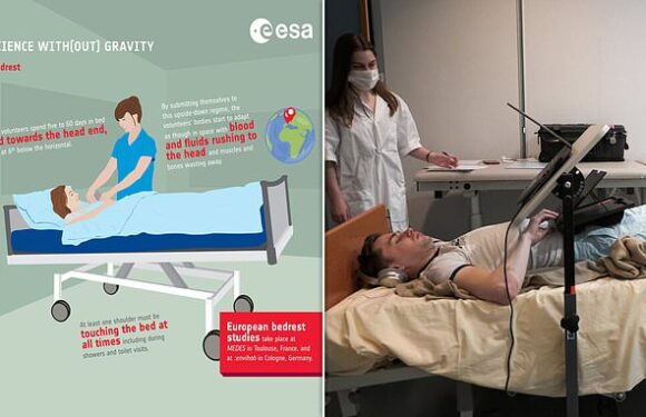 ESA is paying 12 volunteers £15,600 to spend two months lying in BED