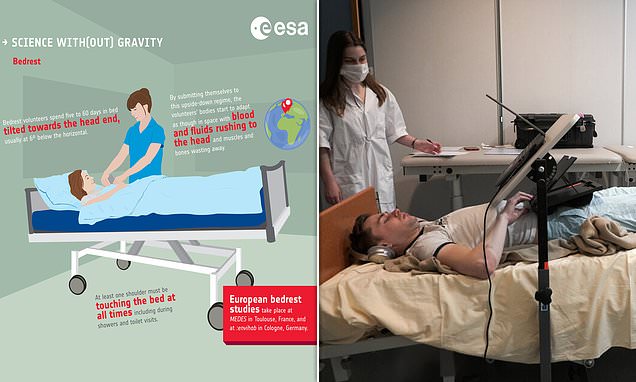 ESA is paying 12 volunteers £15,600 to spend two months lying in BED