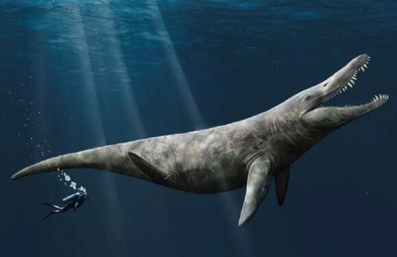 Giant marine reptiles of the Jurassic were twice the size of killer whales