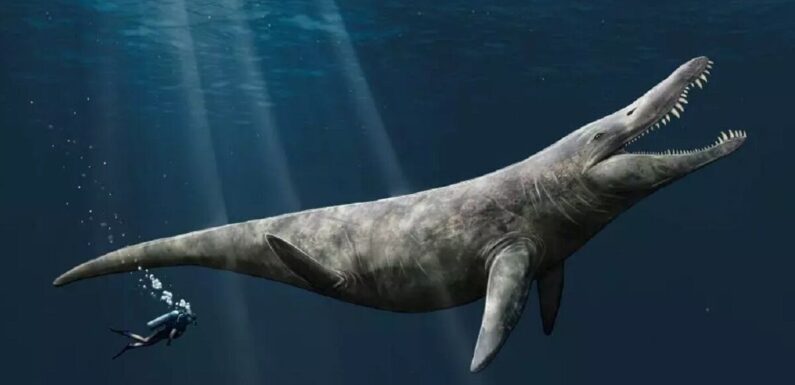 Giant marine reptiles of the Jurassic were twice the size of killer whales