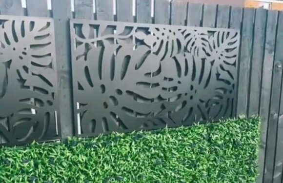 I transformed my dull fence using a bargain buy from The Range – some people say it's tacky but I don't care, I love it | The Sun