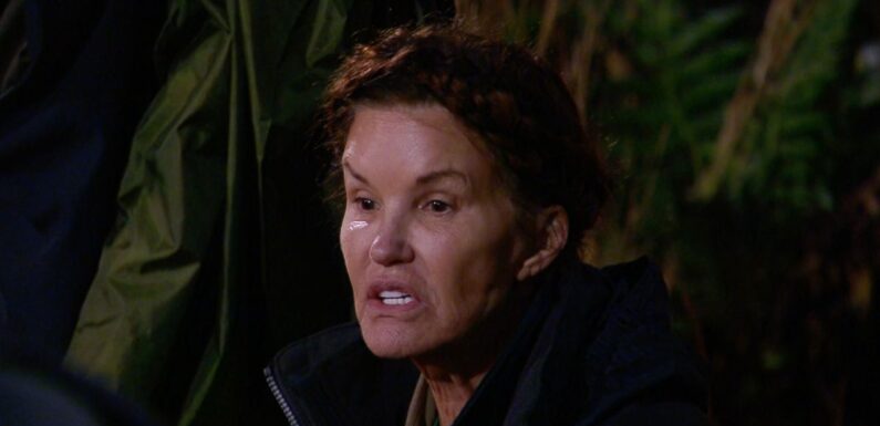 I’m A Celeb fans turn on Janice as ’rancid’ comments to Andy Whyment are revealed