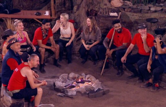 I’m A Celeb’s axed star ‘exposed’ by fans as much-loved campmate tipped to go