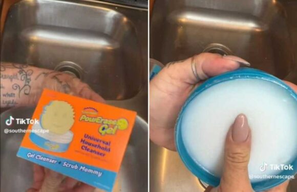 I'm a cleaning pro & tested THE Scrub Mummy Power Gel to see how it stood up against my scaly sink – here's how I got on | The Sun