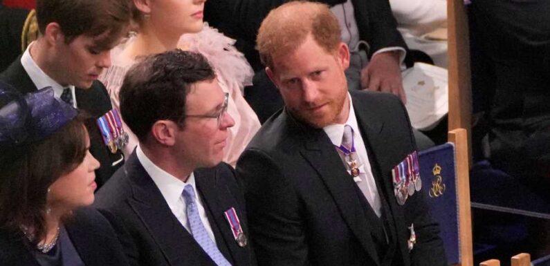 I'm a lip reader… here's what Prince Harry revealed about his travel plans as he sat with Jack Brooksbank at coronation | The Sun