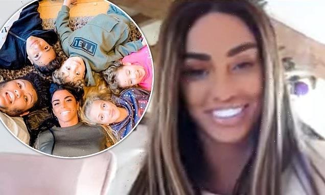 Katie Price, 44, details her surrogacy plans as she pines for a baby
