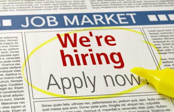 Little-known job where you can earn £30k and you don't need a degree… but it’s really grim | The Sun
