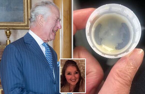 Mother says she has found King Charles in banana smoothie lid