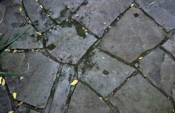 Mrs Hinch fans swear by £2.55 hack to clean patios 'overnight' – it makes it 'spotless' with barely any faff involved | The Sun