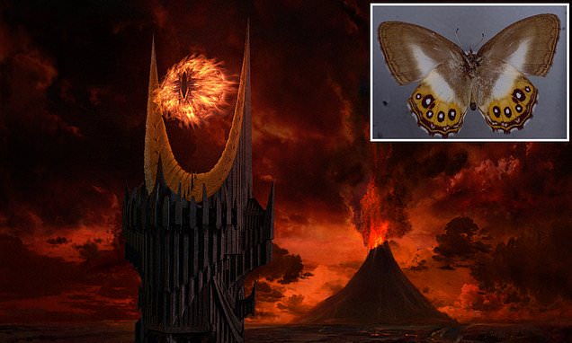 New butterflies are named after 'Lord Of The Rings' villain Sauron