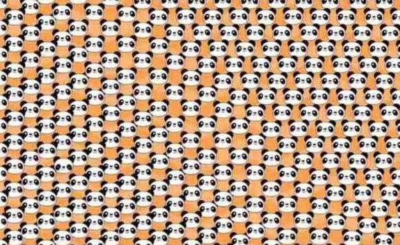 Only people with high IQ’ can find the sad panda in 10 seconds