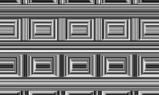 Optical illusion has 16 hidden circles – so can YOU see them?