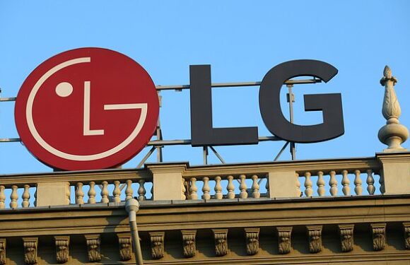 People are only just realising the hidden message in the LG logo