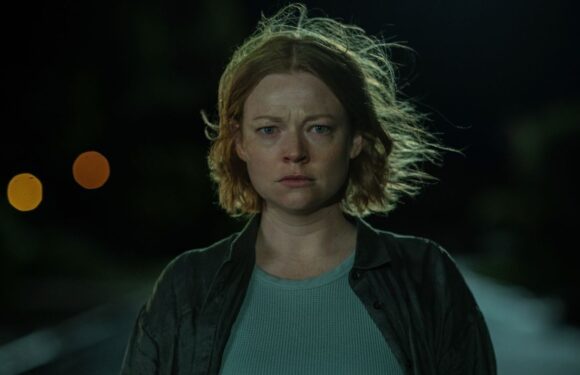 Sarah Snook looks unrecognisable in new role away from Succession