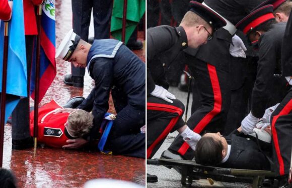 Soldiers faint while waiting for procession as 4,000 ceremonial troops escort King Charles to Buckingham Palace | The Sun
