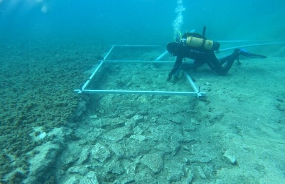 Stone Age road found still preserved underwater after 7,000 years