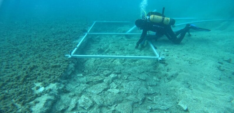 Stone Age road found still preserved underwater after 7,000 years