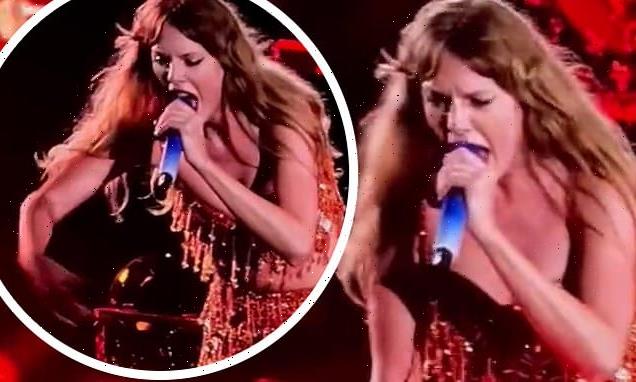 Taylor YELLS from stage at 'security guard' in audience