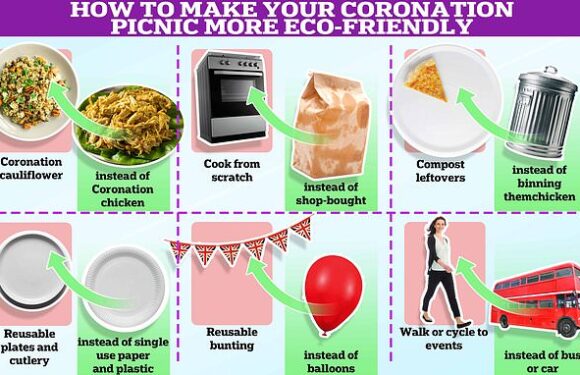 The simple swaps to make your Coronation picnic more eco-friendly