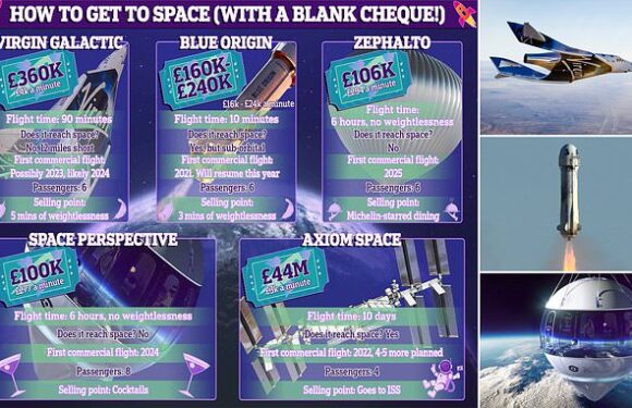 Who will win the space TOURISM race? MailOnline takes a look