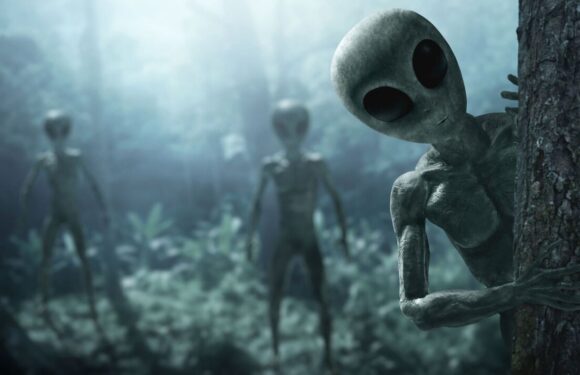 ‘Alien footage’ released as man describes ‘terrifying’ encounter in his backyard