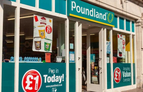 Bargain hunters left divided over a £12 Poundland summer buy – whilst some are eager to nab one others say it's a waste | The Sun
