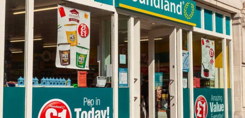 Bargain hunters left divided over a £12 Poundland summer buy – whilst some are eager to nab one others say it's a waste | The Sun