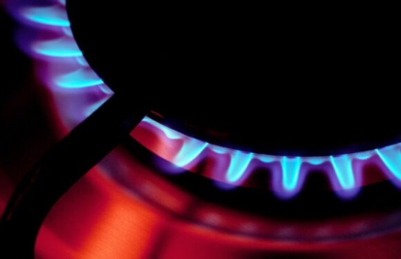 Blood cell cancer chemical released when using gas stoves and hobs, study warns