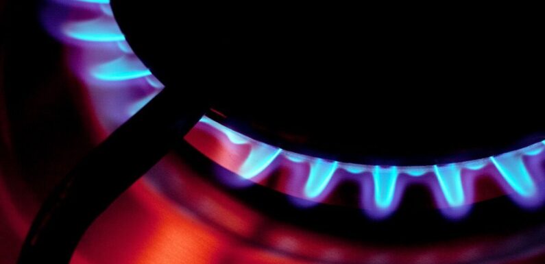 Blood cell cancer chemical released when using gas stoves and hobs, study warns