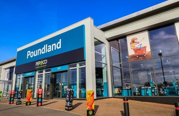 Blow to high street as bargain store Poundland shuts nine shops