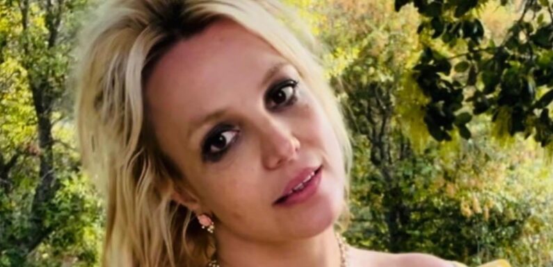 Britney Spears Blames ‘All Those Rules’ and ‘Not Having Voice’ for Her Quitting ‘the Business’