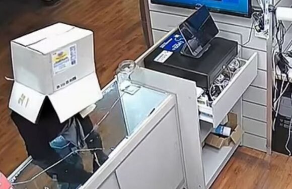Bungling robber wearing cardboard box disguise makes critical mistake