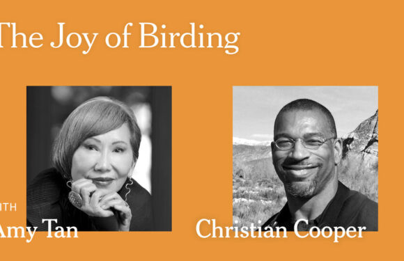 Christian Cooper and Amy Tan on How Birding Brings Them Joy: a Live Event