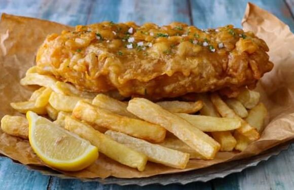 Cod and chips could soon be off the menu, scientists warn