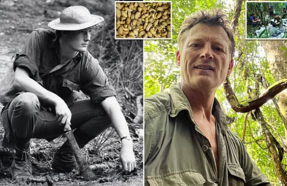 EXCLUSIVE – BENEDICT ALLEN reveals how to stay alive in the rainforest
