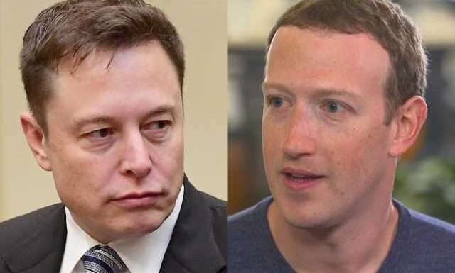 Elon Musk Challenges Mark Zuckerberg to Cage Fight, Mark Responds ‘Send Me Location’