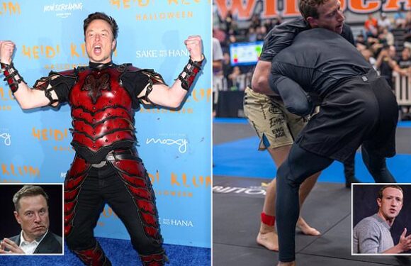 Elon Musk vs Mark Zuckerberg Feud: Timeline of the tech giants' beef