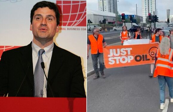 Entrepreneur bankrolling Just Stop Oil turns on 'unproductive' eco mob